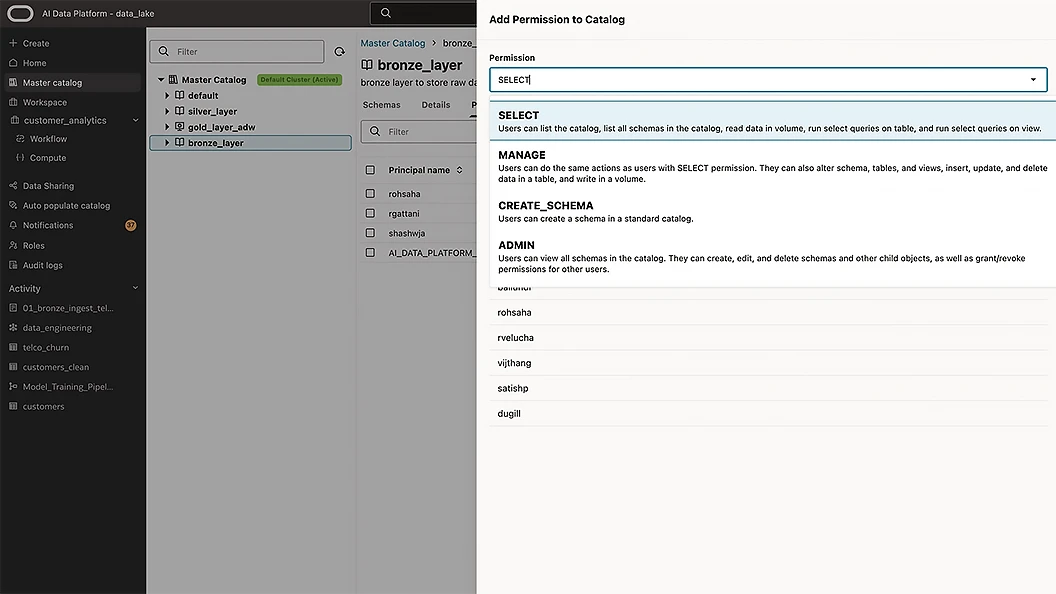 Data governance view