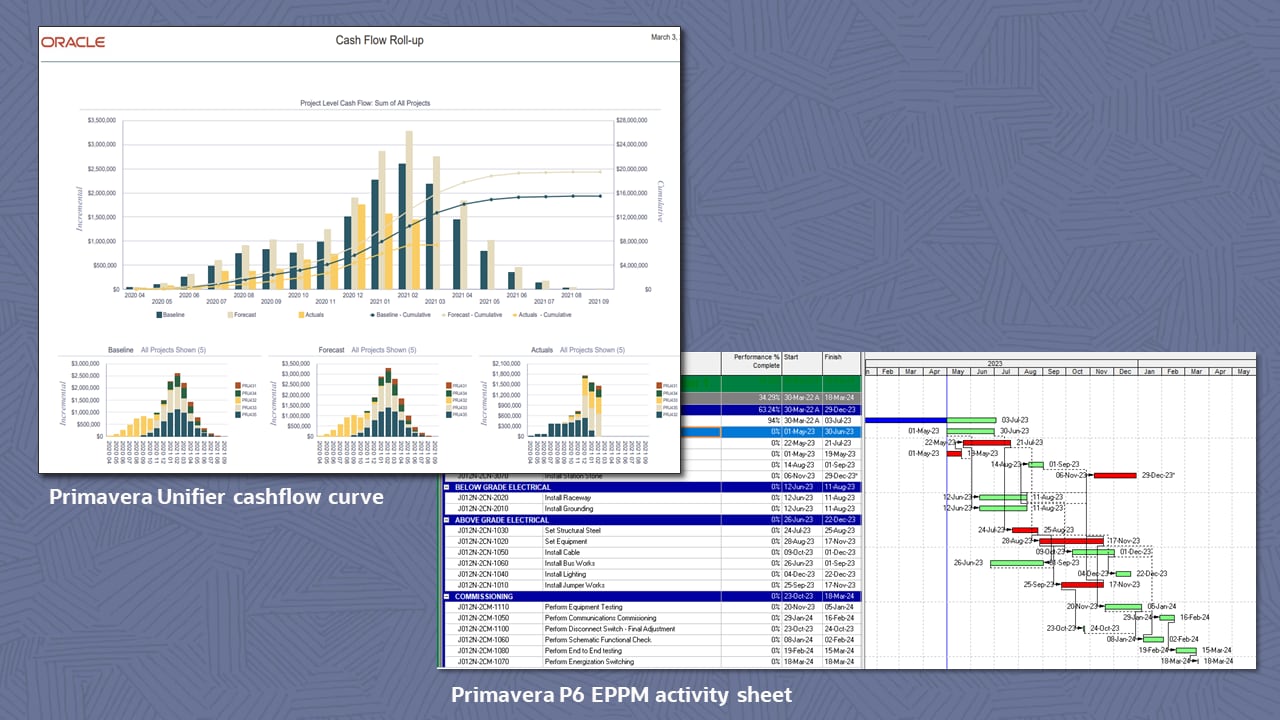 Primavera Unifier cashflow and Primavera P6 activity sheet image