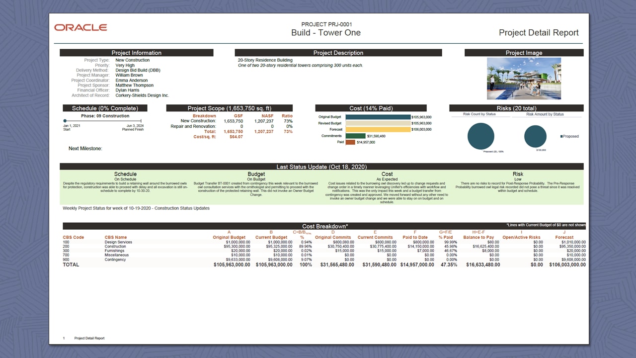 project detail report image
