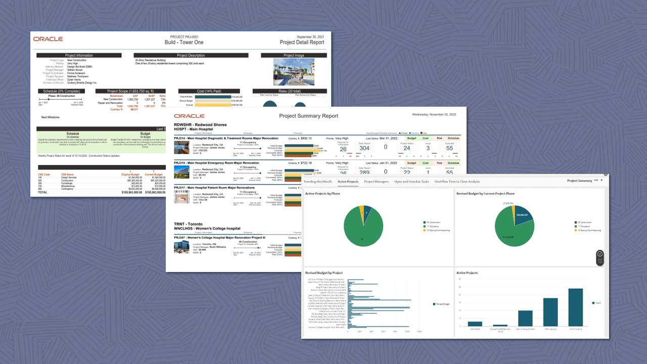 Project and cross-project reporting imgage