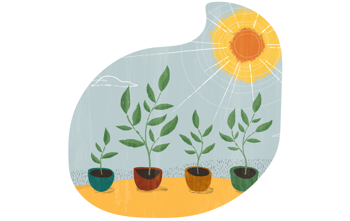 Certification catalogs