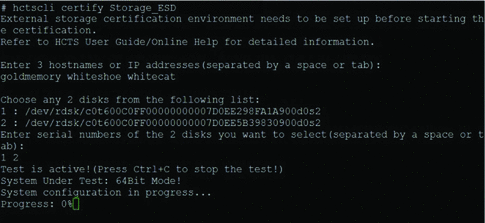 This image is a screenshot of the External Storage Certification test using CLI.